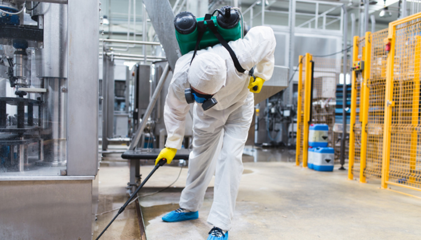 Préservation des habitats assurée avec le n°1 de la dératisation à Alès